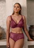 Fusion Lace Plunge Bra Rosewood