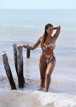 Bamboo Grove Bandeau Bikini Top Hot Chilli