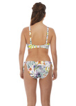Playa Blanca Classic Bikini Brief Multi