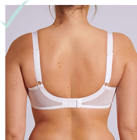 The Reimagined Butterfly Bra Fit Guide 