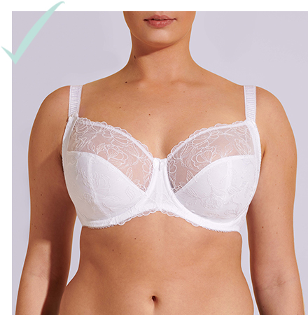 BRAS  Find a Bra that Fits Perfectly – Tagged Fantasie– Forever