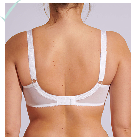 Bra Fitting Guide, How a Bra Should Fit, Fantasie UK