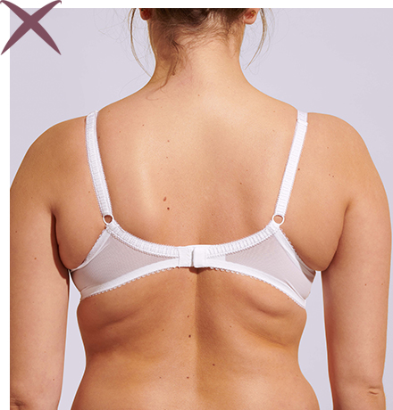 Bra Fitting Guide, How a Bra Should Fit, Fantasie UK